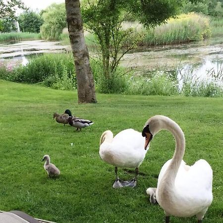 Somerford Keynes Cotswolds Lake Side Home With Luxury Spa Swallows Nest,Lower Mill Estate, Lakeside Home And Spa With A Harry Potter Cupboard Under The Stairs מראה חיצוני תמונה