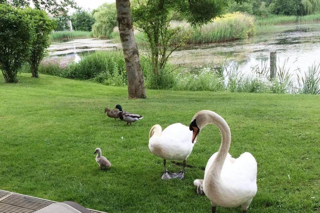 Somerford Keynes Cotswolds Lake Side Home With Luxury Spa Swallows Nest,Lower Mill Estate, Lakeside Home And Spa With A Harry Potter Cupboard Under The Stairs מראה חיצוני תמונה